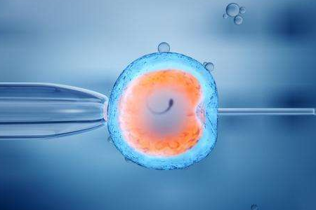 遗传咨询科